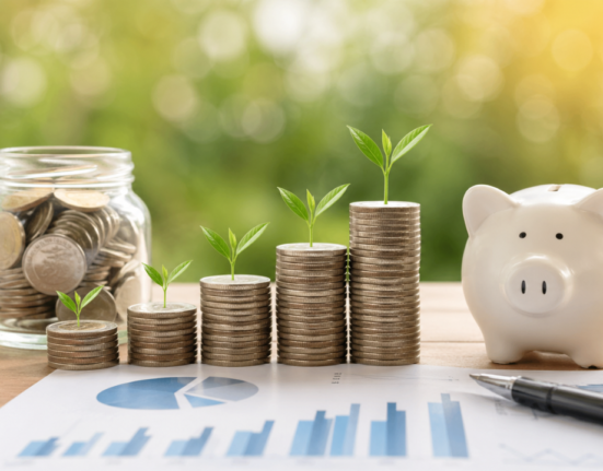 Roarbiznes Financial Infoguide by Riproar: A Complete Guide for Smart Financial Growth